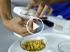 Ảnh bìa bài viết 446740