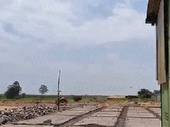 Ảnh bìa bài viết 447101