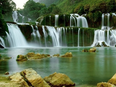 Ảnh bìa bài viết 447231