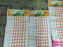 Ảnh bìa bài viết 447367