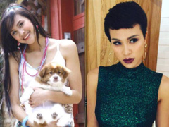 Ảnh bìa bài viết 447438