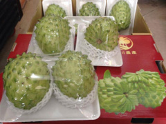 Ảnh bìa bài viết 447313