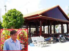Ảnh bìa bài viết 447317