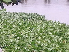 Ảnh bìa bài viết 447565