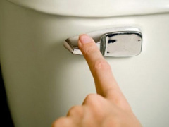Ảnh bìa bài viết 447717