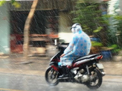 Ảnh bìa bài viết 447642
