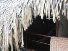Ảnh bìa bài viết 448044