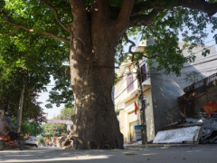 Ảnh bìa bài viết 447820