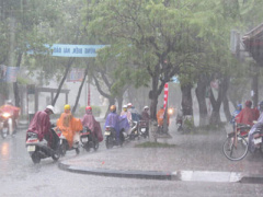 Ảnh bìa bài viết 447789