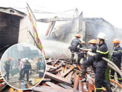 Ảnh bìa bài viết 447885
