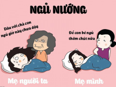 Ảnh bìa bài viết 447896