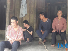 Ảnh bìa bài viết 448296