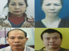 Ảnh bìa bài viết 448154