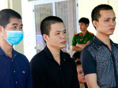 Ảnh bìa bài viết 448541
