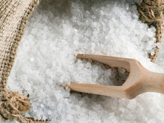 Ảnh bìa bài viết 448481