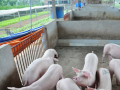 Ảnh bìa bài viết 448674