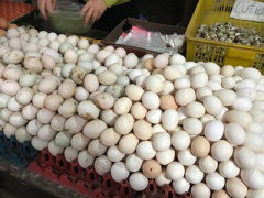 Ảnh bìa bài viết 448811