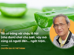 Ảnh bìa bài viết 449072