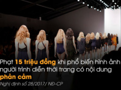 Ảnh bìa bài viết 449357