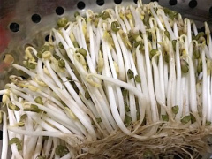 Ảnh bìa bài viết 449517