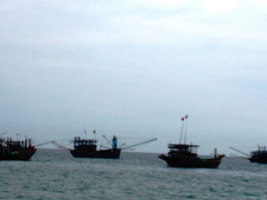 Ảnh bìa bài viết 449555