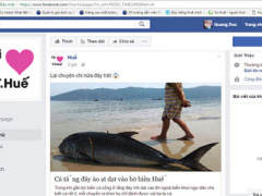 Ảnh bìa bài viết 449621