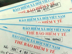 Ảnh bìa bài viết 449586