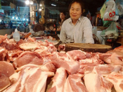 Ảnh bìa bài viết 449812