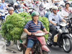 Ảnh bìa bài viết 449922