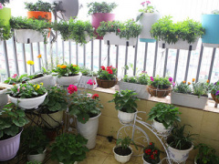 Ảnh bìa bài viết 449867
