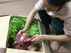 Ảnh bìa bài viết 449879