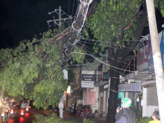 Ảnh bìa bài viết 450590