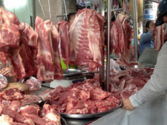 Ảnh bìa bài viết 450687