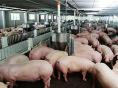 Ảnh bìa bài viết 450709