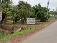 Ảnh bìa bài viết 450784