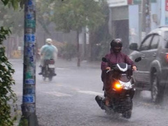 Ảnh bìa bài viết 450921