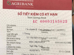 Ảnh bìa bài viết 451039