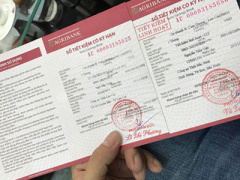 Ảnh bìa bài viết 451038