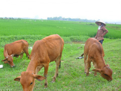 Ảnh bìa bài viết 451051
