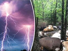 Ảnh bìa bài viết 451562