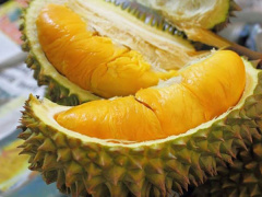 Ảnh bìa bài viết 452115