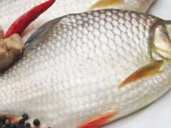 Ảnh bìa bài viết 452097