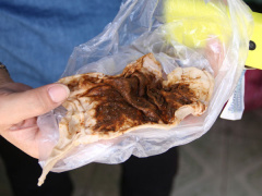 Ảnh bìa bài viết 452221