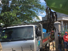 Ảnh bìa bài viết 452207