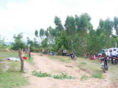 Ảnh bìa bài viết 452350