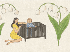 Ảnh bìa bài viết 452525