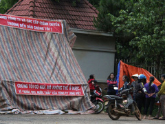 Ảnh bìa bài viết 452550