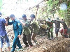 Ảnh bìa bài viết 452483