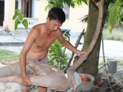 Ảnh bìa bài viết 452482