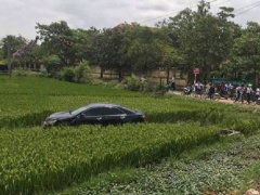 Ảnh bìa bài viết 452893